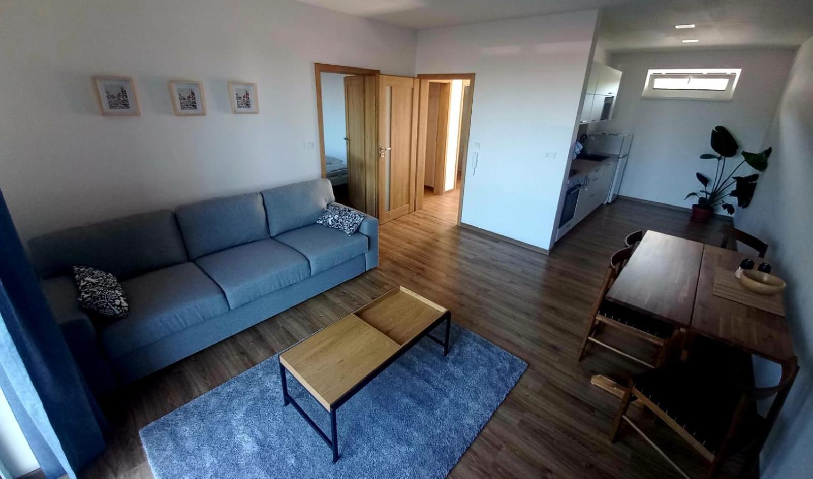 Apartman Violetta Nove Mesto nad Metuji Luaran gambar